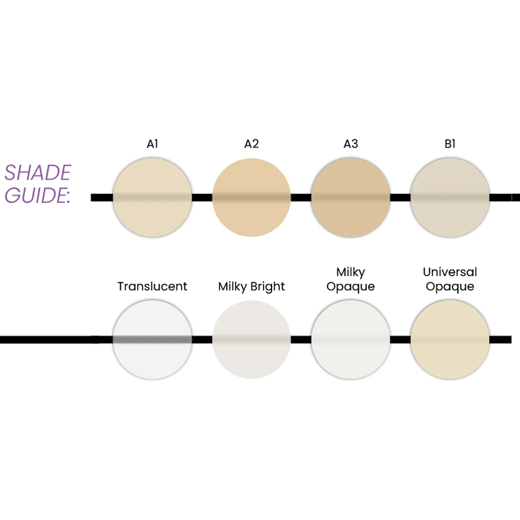 Bisco Choice 2 Shade Guide.webp