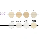Bisco Choice 2 Shade Guide.webp