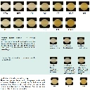 GC G-aenial Shade Guide.webp